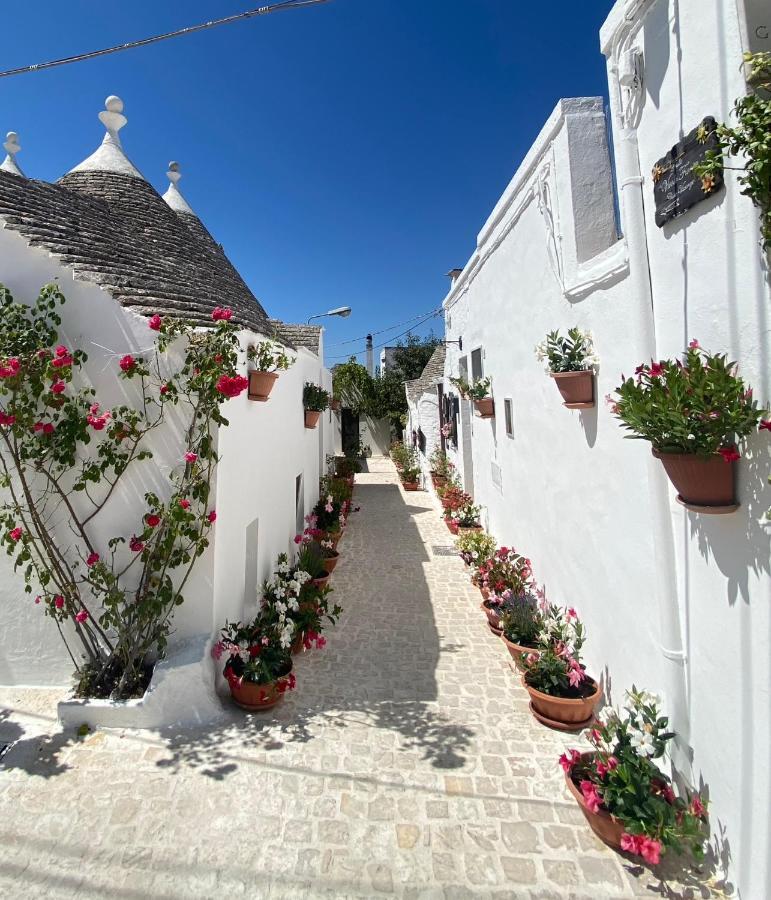 Casa vacanze Trullo Vicolo Fiorito